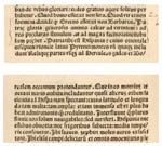 Portions of the recto and verso of leaf 7, containing a
                                possible reference to the New World
