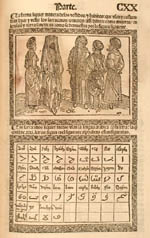 An illustration of typical Saracen dress, and a table of the
                                Saracen alphabet